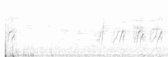 Güneyli Sert Kanatlı Kırlangıç - ML614359795