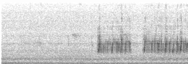 Вертлявая миагра - ML614361314