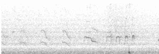 Black-faced Woodswallow - ML614362404