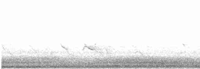 Черноухий медосос - ML614363057