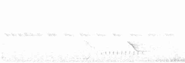 Черноухий медосос - ML614363071