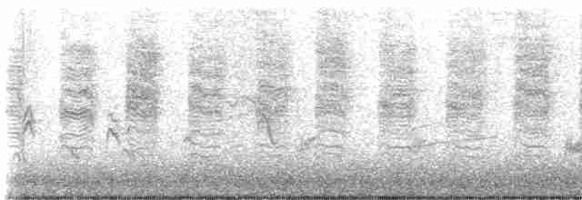 Віреон короткокрилий (підвид pusillus) - ML614363151
