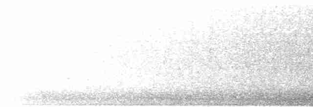 Веерохвостая корольковка - ML614363322