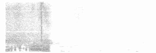 Чешуегорлый колибри-отшельник - ML614364472