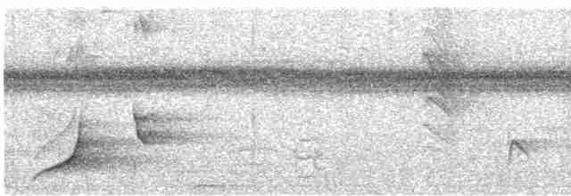 holub smaragdový - ML614364784