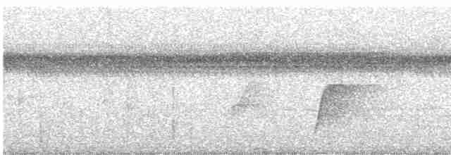 Silbador de Fiyi - ML614365391