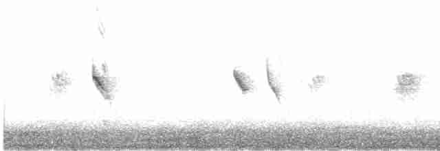Dot-winged Crake - ML614365439