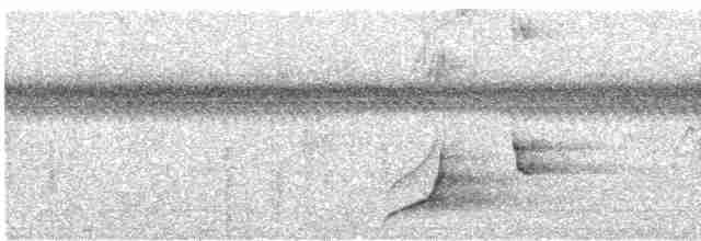 Ptilope de Layard - ML614365952