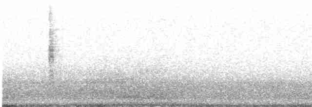 Common Yellowthroat - ML614366501