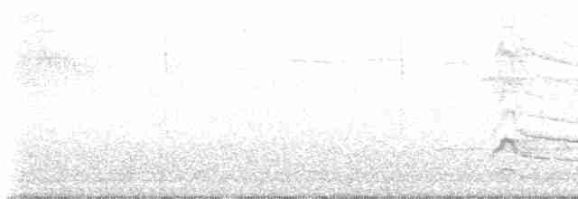 Дятел-смоктун червоноголовий - ML614366561