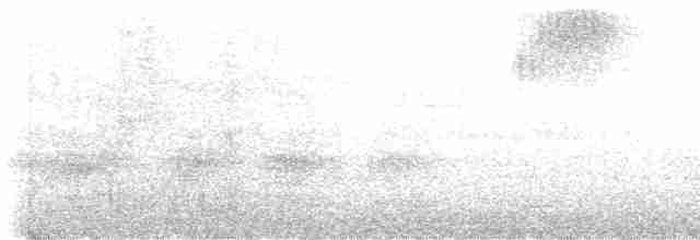 Андский скальный петушок - ML614370760