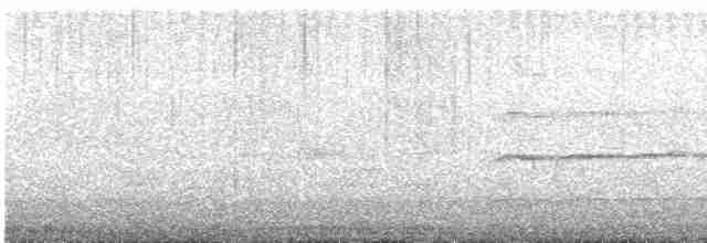 Méliphage bruyant - ML614372465