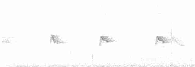 Светлоглазая курэта - ML614373277