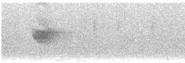 Вилохвістка плямиста - ML614380091