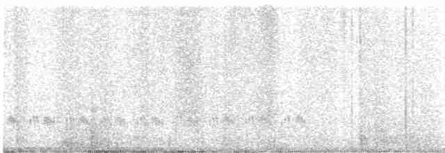 Кактусовый крапивник - ML614381317