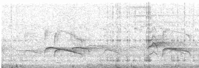 Long-tailed Finch - ML614381506