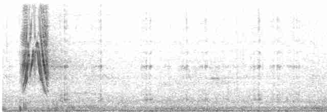 hvitbuklarveeter - ML614381507