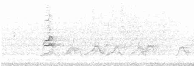 白胸燕鵙 - ML614381651