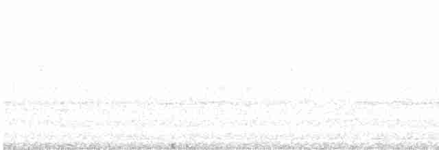 Grallina Australiana - ML614382572