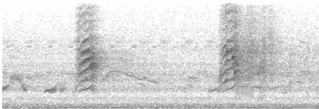 白胸燕鵙 - ML614382597