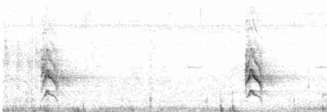 Méliphage flavescent - ML614382802