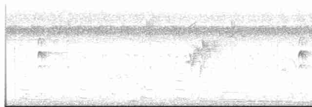 Серогрудый трескун - ML614384984