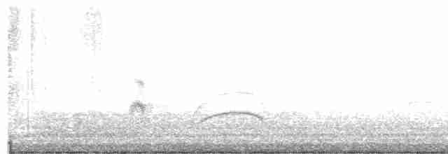 Büyük Kiskadi Tiranı - ML614388489