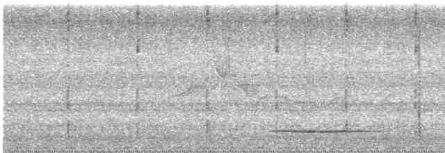 Thicket Tinamou - ML614395388