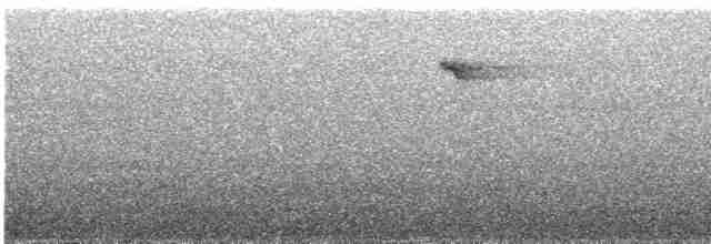 Зелёный колибри-отшельник - ML614405493