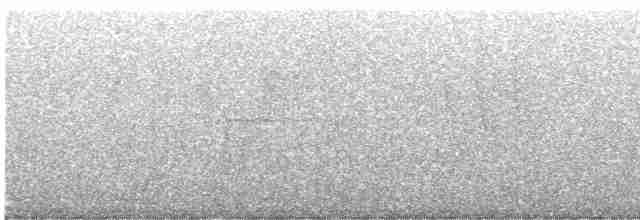 Тихоокеанский крапивник - ML614405704