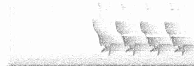 Каролинский крапивник - ML614411034