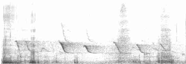 Черноухий медосос - ML614413035