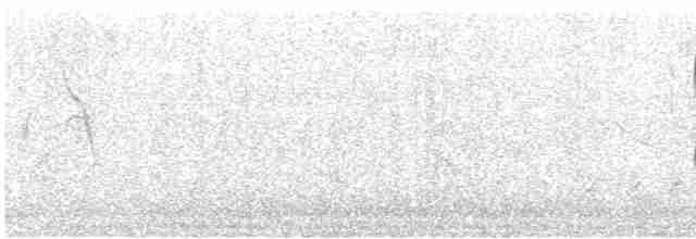 Kara Karınlı Tohumcul - ML614416630