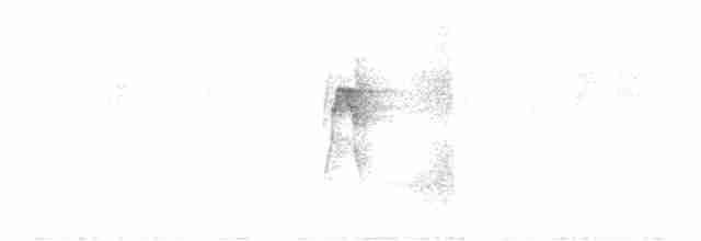 Ticotico de Anteojos (variegaticeps) - ML614423796