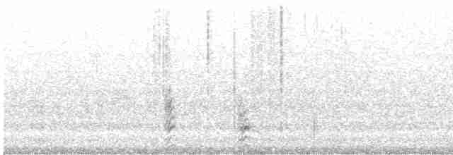 Gray-crowned Babbler - ML614429232