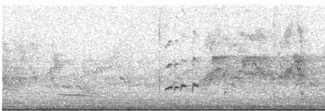 Streifenpanthervogel - ML614430237