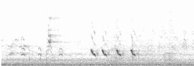 Streifenpanthervogel - ML614430238