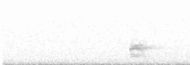 Австралийский совиный козодой - ML614431601