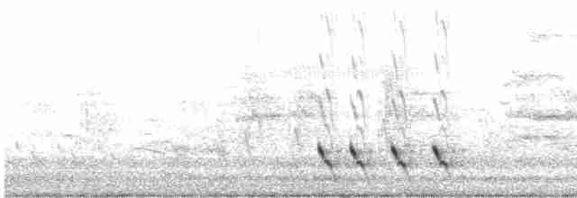 Streifenpanthervogel - ML614431843