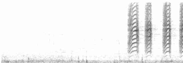 白胸燕鵙 - ML614432329