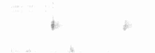 Mirlo Acuático Europeo - ML614432918
