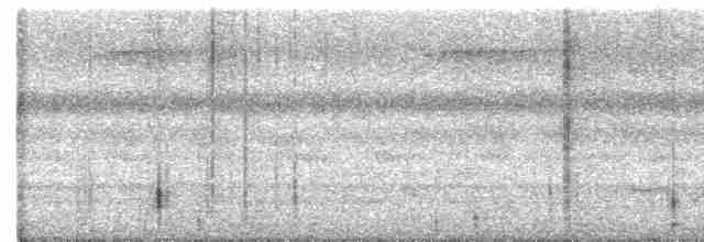 Great Eared-Nightjar - ML614433006
