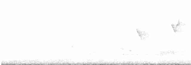 Оливковая нектарница - ML614438815
