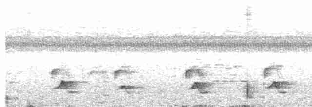 Swallow-tailed Manakin - ML614440869