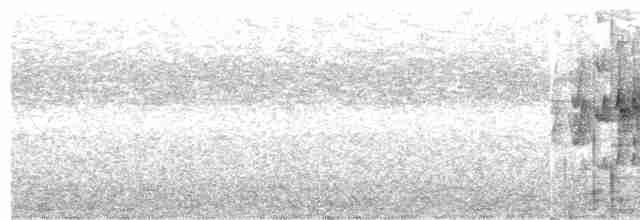 rustbrystløvvender (scansor) - ML614440884
