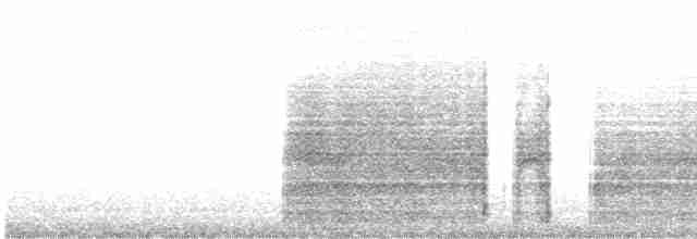 Галапагосская качурка - ML614442214