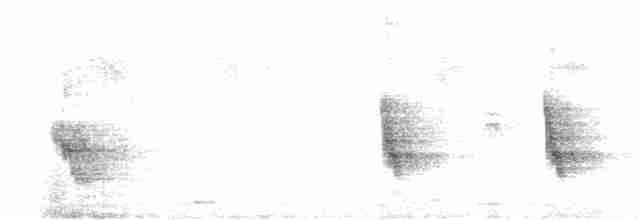 Сероголовый воробей - ML614443557