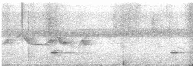 Tinamou à petit bec - ML614451568