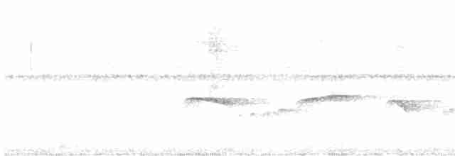 Atlantik Karınca Tiranı - ML614455392