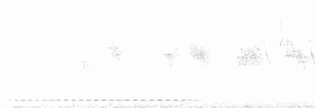 Dalgalı Yerçavuşu - ML614460135